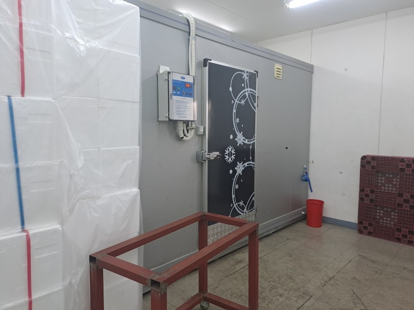 c847299771356eb682caa56a3ea4d9ab_1774579